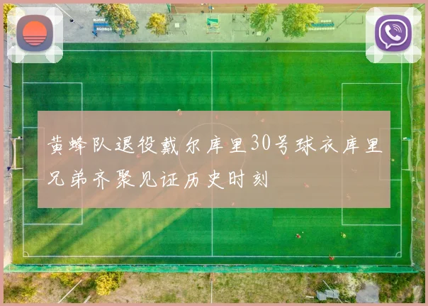 黄蜂队退役戴尔库里30号球衣库里兄弟齐聚见证历史时刻