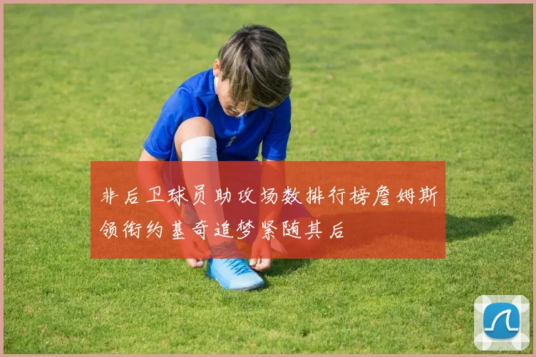 非后卫球员助攻场数排行榜詹姆斯领衔约基奇追梦紧随其后
